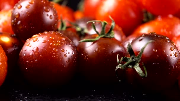 Tomates Cherry Sobre Fondo Negro Gotas Agua — Vídeos de Stock