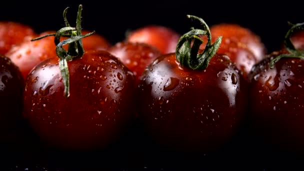 Tomates Cherry Sobre Fondo Negro Gotas Agua — Vídeo de stock