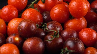 Su damlalarında siyah arkaplanda vişne domatesleri.