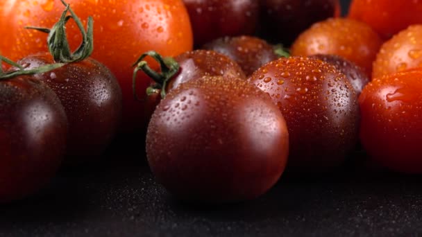 Tomates Cereja Fundo Preto Gotas Água — Vídeo de Stock