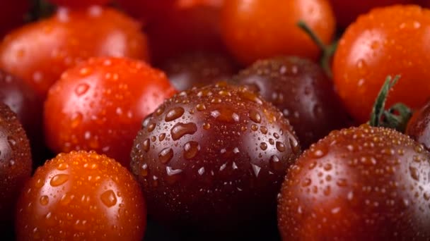 Tomates Cherry Sobre Fondo Negro Gotas Agua — Vídeo de stock