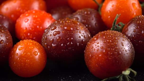 Pomidory Wiśniowe Czarnym Tle Kroplach Wody — Wideo stockowe