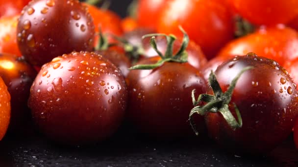 Tomates Cherry Sobre Fondo Negro Gotas Agua — Vídeo de stock