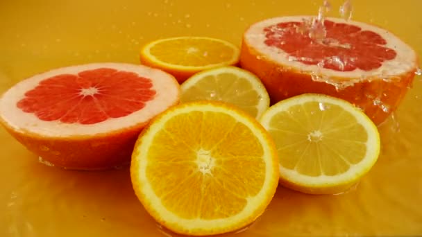 Rodajas Limón Naranja Pomelo Sobre Fondo Naranja Salpicadura Agua Movimiento — Vídeo de stock