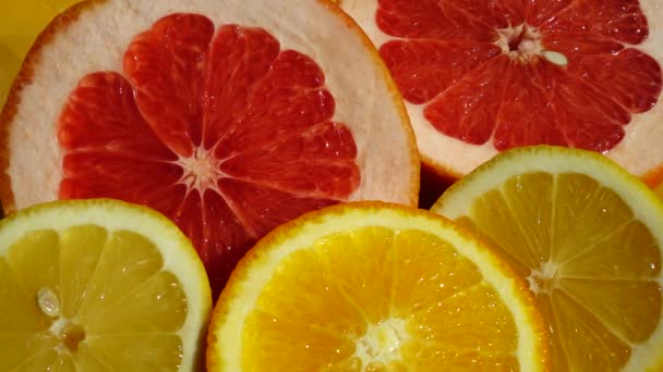 Tranches Citron Orange Pamplemousse Sur Fond Orange Éclaboussure Eau Mouvement — Video