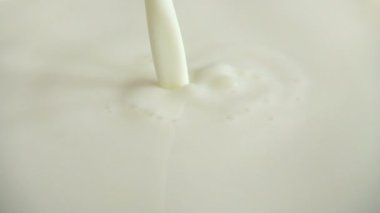 Sütlü yüzeye akan bir süt akışı. Yavaş çekim.