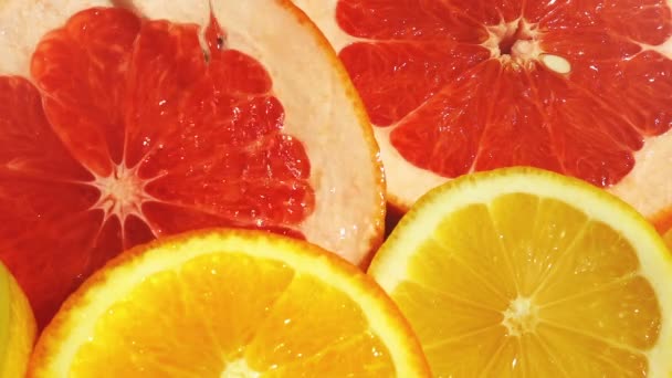 水の流れにレモン オレンジ グレープフルーツのスライス スローモーション — ストック動画