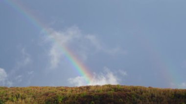 Ormanın üzerindeki yağmurdan sonra gökyüzünde gökkuşağı.