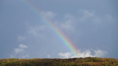 Ormanın üzerindeki yağmurdan sonra gökyüzünde gökkuşağı.