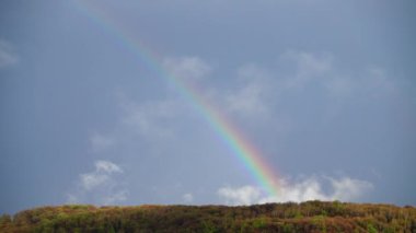 Ormanın üzerindeki yağmurdan sonra gökyüzünde gökkuşağı.