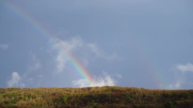 Ormanın üzerindeki yağmurdan sonra gökyüzünde gökkuşağı.