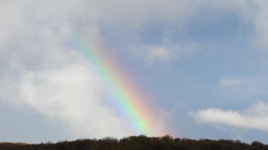 Ormanın üzerindeki yağmurdan sonra gökyüzünde gökkuşağı.
