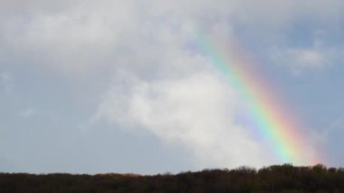 Ormanın üzerindeki yağmurdan sonra gökyüzünde gökkuşağı.