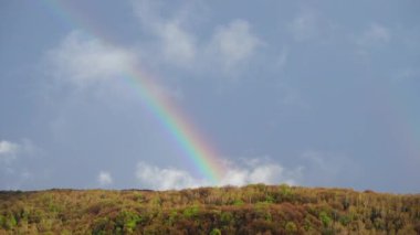 Ormanın üzerindeki yağmurdan sonra gökyüzünde gökkuşağı.