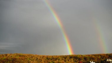 Ormanın üzerindeki yağmurdan sonra gökyüzünde gökkuşağı.
