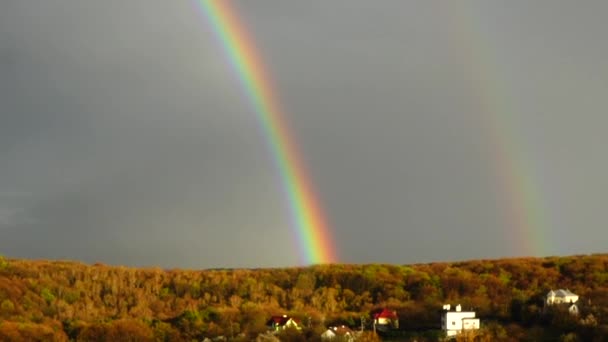 Regenboog Lucht Regen Boven Het Bos — Stockvideo