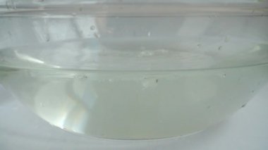 Falling cabbage Brassica oleracea into a glass bowl of water. Slow motion.