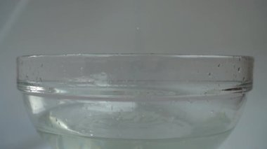 Falling cabbage Brassica oleracea into a glass bowl of water. Slow motion.