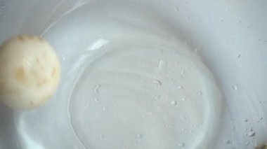 Cam bir kase suya düşen Agaricus mantarları. Yavaş çekim.