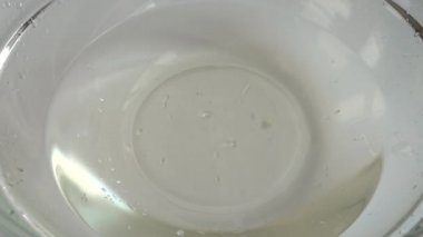 Cam bir kase suya düşen Agaricus mantarları. Yavaş çekim.