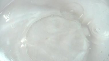 Camdan bir kase suya düşen mantar Pleurotus ostreatus. Yavaş çekim.