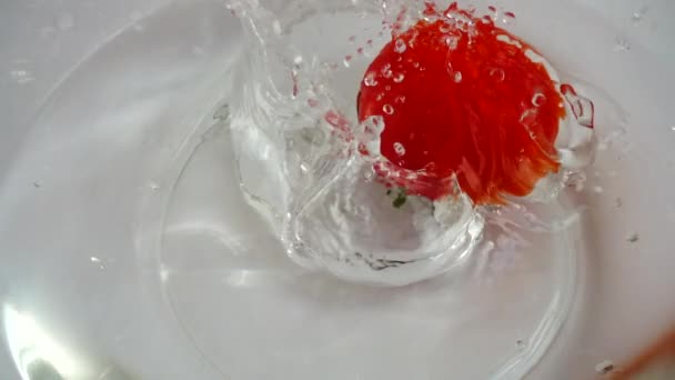 Tomatoes Fall Glass Bowl Water Slow Motion — Αρχείο Βίντεο