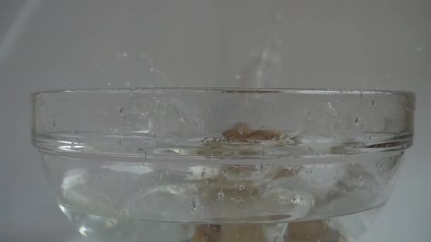 Champignons Tombants Pleurotus Ostreatus Dans Bol Eau Verre Mouvement Lent — Video