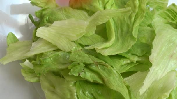 Preparing Salad Glass Bowl Falling Lettuce Leaves Tomatoes Cucumbers Sweet — Vídeo de stock
