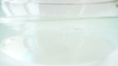 Cam bir kase suya düşen tatlı kırmızı biber. Yavaş çekim.