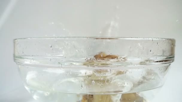Πέφτοντας Μανιτάρια Pleurotus Ostreatus Ένα Γυάλινο Μπολ Νερό Αργή Κίνηση — Αρχείο Βίντεο