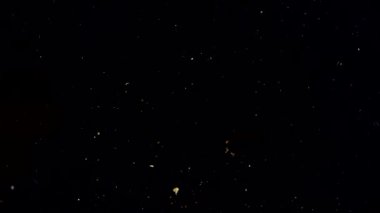 Balkabağı tohumları siyah bir zemine dökülüyor..