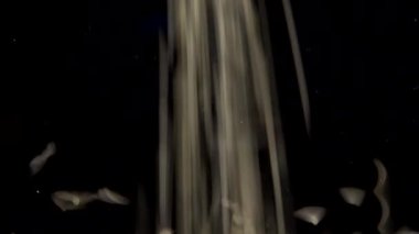 Siyah zemin üzerine pirinç dök.