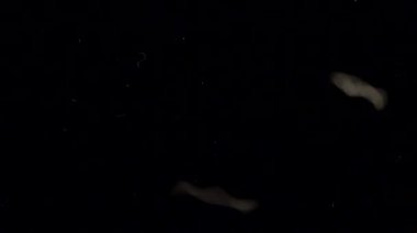 Siyah zemin üzerine pirinç dök.