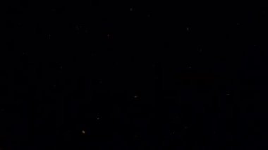 Siyah arka planda düşen bezelyeler..