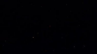 Siyah arka planda düşen bezelyeler..