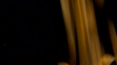 Siyah arka planda patlamış mısır taneleri düşüyor. Yavaş çekim.