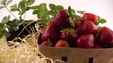 Çilekleri saman ve tencere ve çilek yapraklarıyla dolu bir sepete atmak. Yavaş çekim.