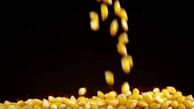 Siyah arka planda patlamış mısır taneleri düşüyor. Yavaş çekim.