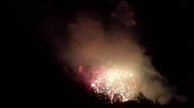 Gece gökyüzünde ağaçların üstünde havai fişekler.