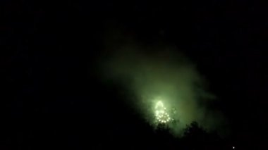 Gece gökyüzünde ağaçların üstünde havai fişekler.