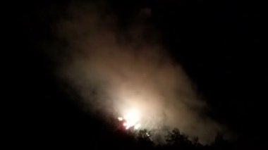 Gece gökyüzünde ağaçların üstünde havai fişekler.