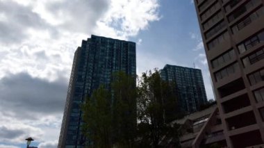 Harbour Square Park ve Ontario Gölü yakınlarındaki 10 York Caddesi (Ten York) yerleşim alanı. Toronto şehir merkezi..