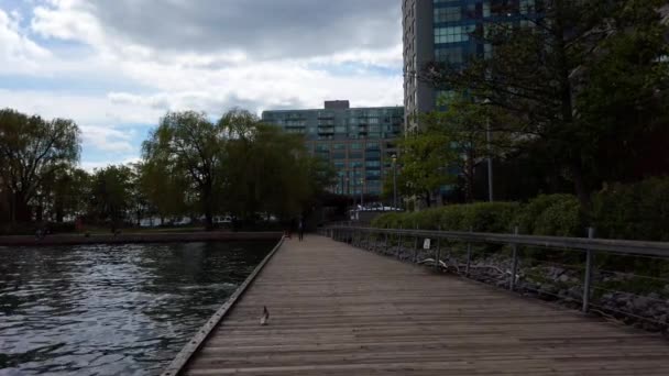 Торонто Канада Мая 2022 Года Прогулка Парке Harbour Square Озеро — стоковое видео