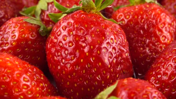 Gocce Acqua Cadono Sulle Fragole — Video Stock