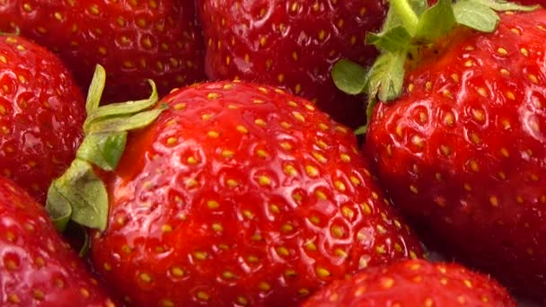 Las Caídas Agua Caen Sobre Las Fresas — Vídeo de stock