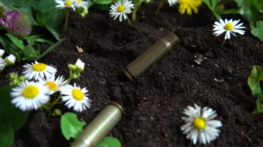 Mermi kovanları yere düşer ve papatya çiçeği açar. Yavaş çekim.