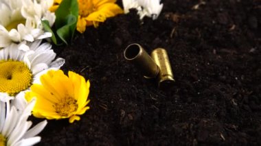 5 mm 'lik bir tabancanın kovanı yere ve papatya çiçeğine düşmüş. Yavaş çekim.