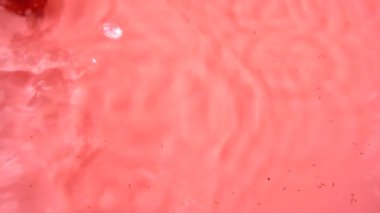 Pembe arka planda suya çilek düşmesi. Yavaş çekim.