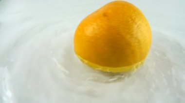 Beyaz bir zemin üzerinde olgun greyfurt şeklinde suyla dönüyor. Yavaş çekim.