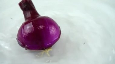 Beyaz arka planda suda dönen mavi soğan. Yavaş çekim.